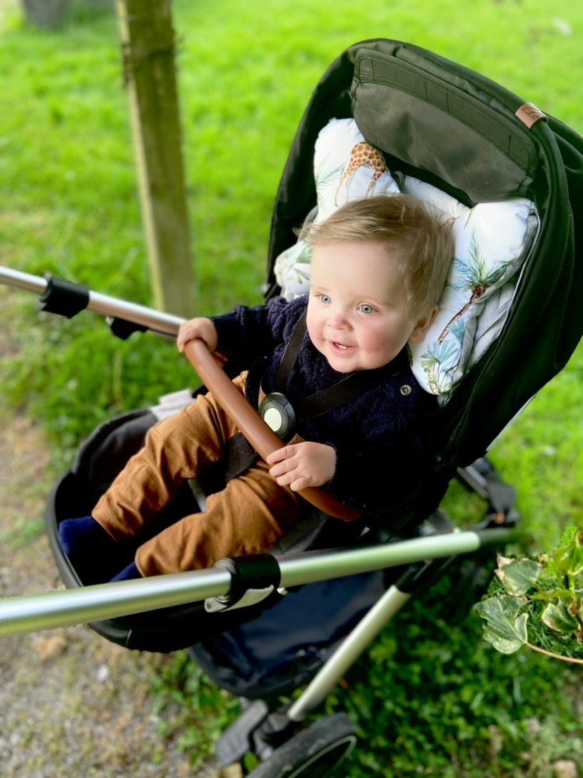 Elephant Ears Support Pillow Poppies Pink